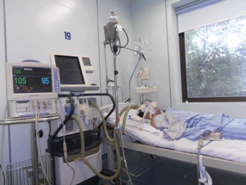 4 bệnh nhân đã tử vong vì cúm A/H1N1 - ảnh 1