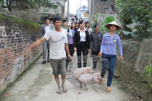 Chung tay hỗ trợ sinh kế cho phụ nữ - ảnh 1