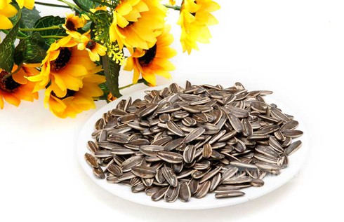 Liên tiếp trẻ cấp cứu vì hóc hạt hướng dương - ảnh 1