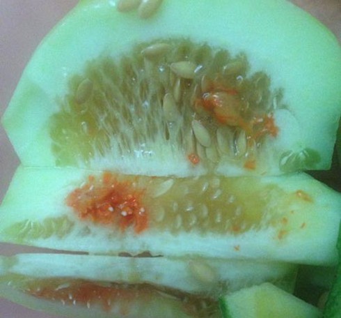 Dưa lê có nốt đỏ bất thường: Nhà khoa học lý giải gì? - ảnh 1