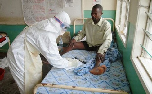 Sự khác nhau giữa Ebola và sốt xuất huyết đang lưu hành ở nước ta - ảnh 2