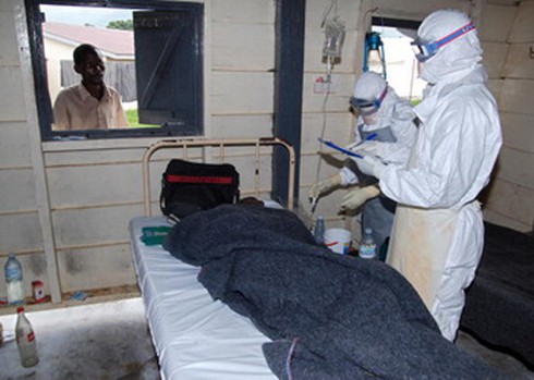 Dịch Ebola: Bộ Y tế báo cáo hằng ngày lên Thủ tướng Chính phủ - ảnh 1