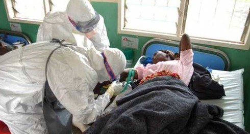Có triệu chứng nhiễm vi rút Ebola, bạn cần làm gì? - ảnh 1