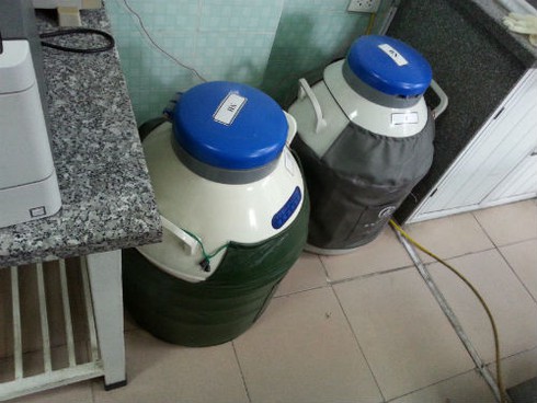 Khách hàng ký gửi tinh trùng: Từ đa tình đến tai nạn giao thông - ảnh 1