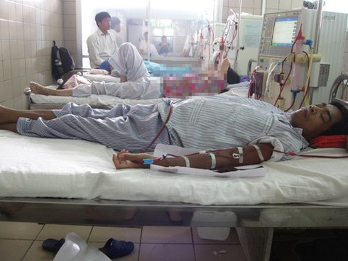 Anh trai chết não, em suy thận không được ghép tạng vì định kiến - ảnh 2