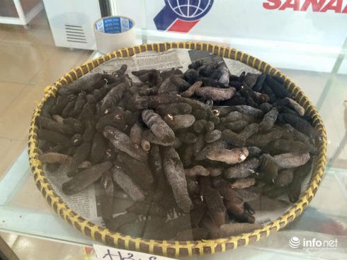 Mạo hiểm lặn bắt thứ đặc sản hơn một chỉ vàng/kg ở Phú Quốc - ảnh 1