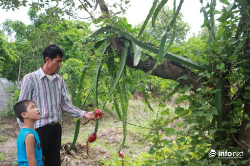 Người đàn ông xứ bắc và giấc mơ làm du lịch trên đất mũi - ảnh 3