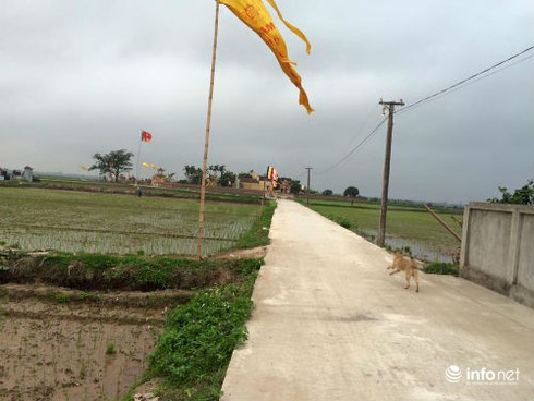 Người dân bảo vệ thành quả xây dựng nông thôn mới - ảnh 1