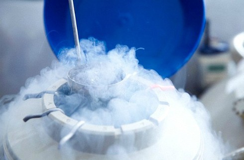 Từ bỏ ý định gửi trứng vào ngân hàng dù mắc bệnh nan y - ảnh 1