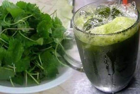 Suýt chết vì cốc nước rau má ngày Tết - ảnh 1