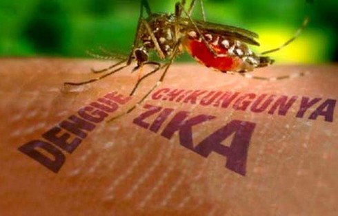 Công bố hai bệnh nhân VN dương tính với virus Zika, một người đang mang thai - ảnh 1