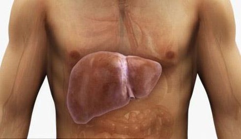 Gần 15 triệu người Việt mang vi rút gây ra căn bệnh ung thư cực kỳ nguy hiểm - ảnh 1