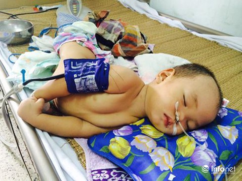 Thương tâm cảnh bà trông cháu hôn mê - ảnh 1