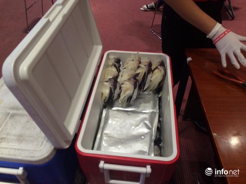 Kết thúc ngày hội hiến máu Giọt hồng tri ân thu được 3459 đơn vị máu - ảnh 6