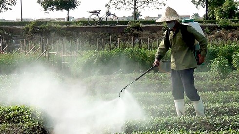 Bọt xuất hiện khi sục ozone vào thịt không phải là hóa chất bị phá hủy - ảnh 1