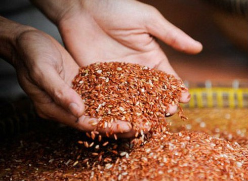 Nguy kịch vì bỏ viện về ăn gạo lứt - ảnh 1