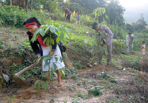 Giả danh thầy giáo, lừa bán trẻ sang Trung Quốc - ảnh 1