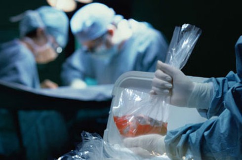 Đẩy mạnh hiến tạng minh bạch để phòng, chống mua bán người - ảnh 1