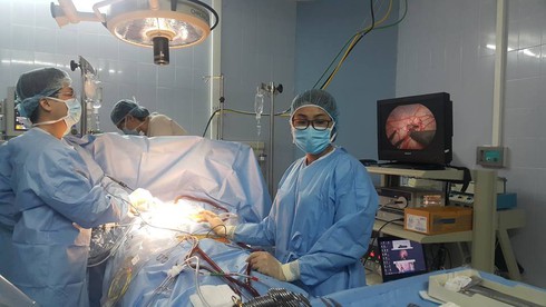 Việt Nam giới thiệu kỹ thuật mổ tim mới ra toàn thế giới - ảnh 1