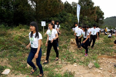 Trồng 13.000 cây xanh tại khu mộ Đại tướng Võ Nguyên Giáp - ảnh 6