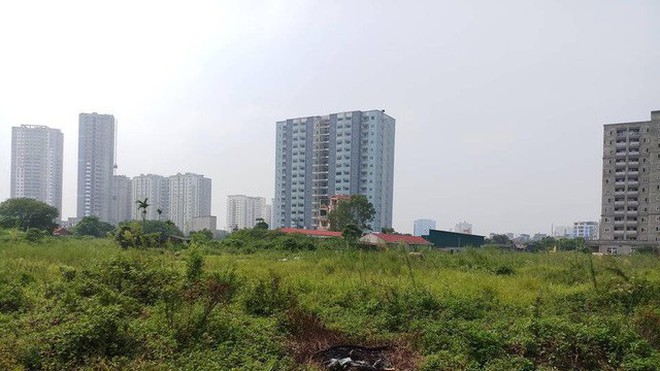 Các loại đất nào sẽ bị thu hồi nếu không sử dụng?
