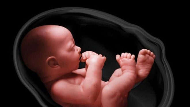 Bảng Chỉ Số Thai Nhi Theo Tuần Tuổi Về Chiều Dai Can Nặng Chuẩn