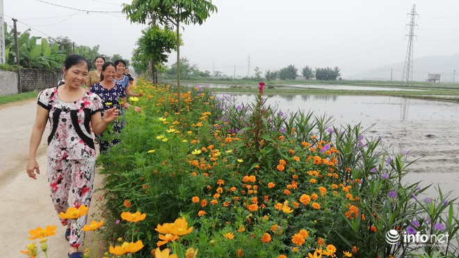 Độc đáo mô hình 'biến rác thải thành đường hoa' ở Nghệ An