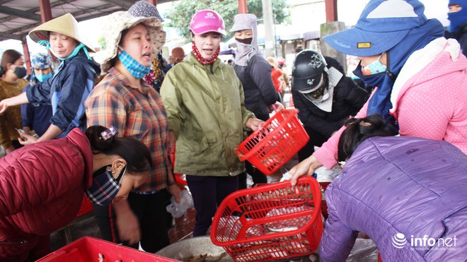Nghệ An: Cảng cá Lạch Vạn đông đúc, nhiều người thờ ơ với khẩu trang phòng dịch