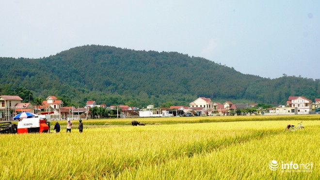 Công nhận huyện Yên Thành đạt chuẩn Nông thôn mới