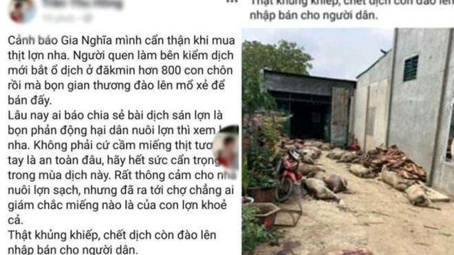Đắk Nông:Phạt 10 triệu đồng chủ tài khoản FB tung tin sai về lợn dịch chết
