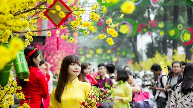 Tết Kỷ Hợi - một dịp lễ quan trọng và truyền thống đầy ý nghĩa của dân tộc Việt Nam. Hình ảnh đón Tết, cùng những trò chơi, thực phẩm ngon đầy màu sắc sẽ khiến bạn cảm thấy thích thú và háo hức chào đón ngày Tết đến.