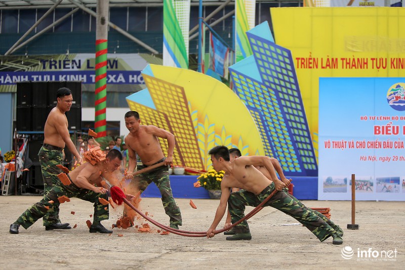 Pha biểu diễn tuyệt kỹ đánh bắt tội phạm của Bộ đội Biên phòng - ảnh 11