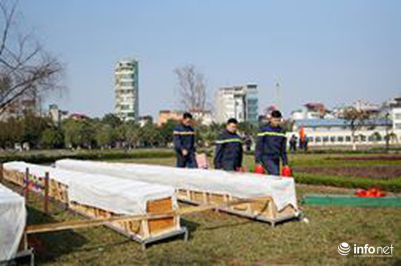 Trực tuyến: Không khí đón năm mới Ất Mùi - 2015 của người Việt ở năm châu - ảnh 77