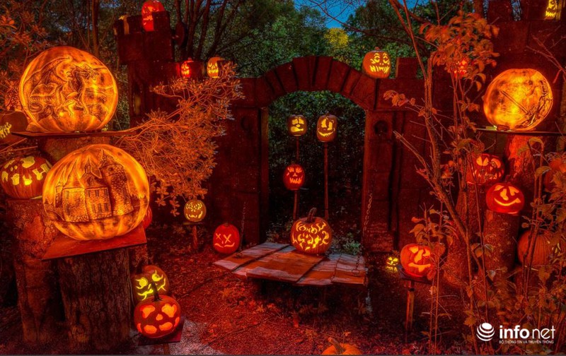 Ngắm khu vườn đèn lồng bí ngô sống động mùa Halloween - ảnh 1