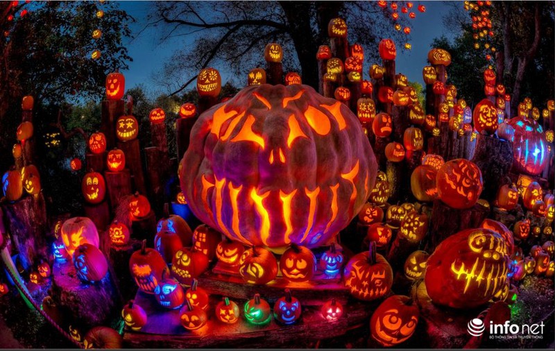 Ngắm khu vườn đèn lồng bí ngô sống động mùa Halloween - ảnh 2