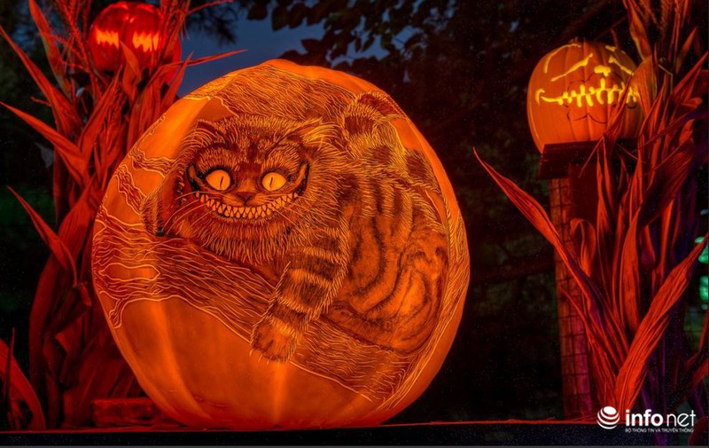 Ngắm khu vườn đèn lồng bí ngô sống động mùa Halloween - ảnh 8