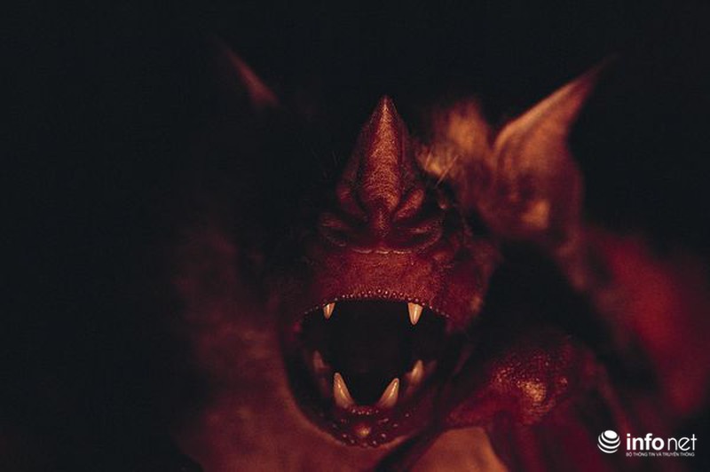 Sự thật bất ngờ về dơi hút máu - ảnh 11