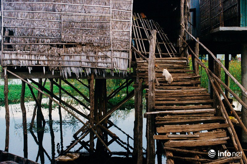 Ngắm cảnh yên bình của ngôi làng người Việt dọc bờ Biển Hồ - ảnh 7