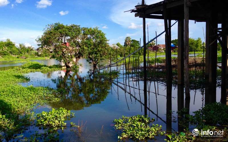 Những ngôi làng người Việt trên sông Mê Kông (phần cuối) - ảnh 5