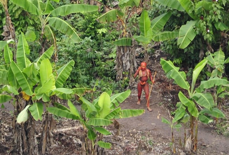 Bộ tộc 60.000 năm sống khép kín, giết bất kỳ ai dám tiếp cận - ảnh 2