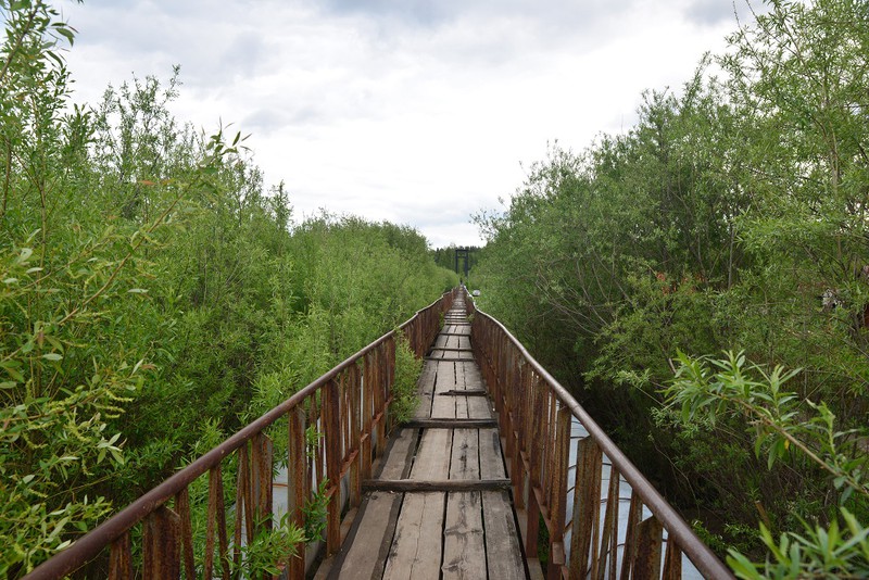 Ngỡ ngàng vẻ đẹp bình yên Siberia vào hè - ảnh 13