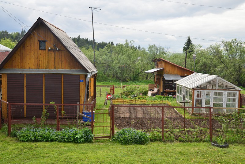 Ngỡ ngàng vẻ đẹp bình yên Siberia vào hè - ảnh 14
