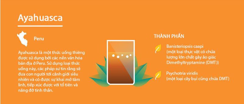 Những thức uống kỳ dị nhất trên thế giới - ảnh 1