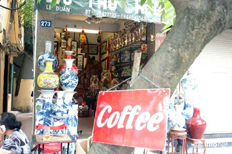 Đóng đinh “bức tử” cây xanh trên phố phường Hà Nội - ảnh 10