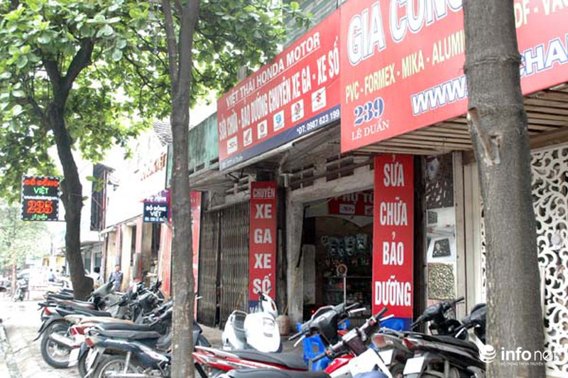 Đóng đinh “bức tử” cây xanh trên phố phường Hà Nội - ảnh 11