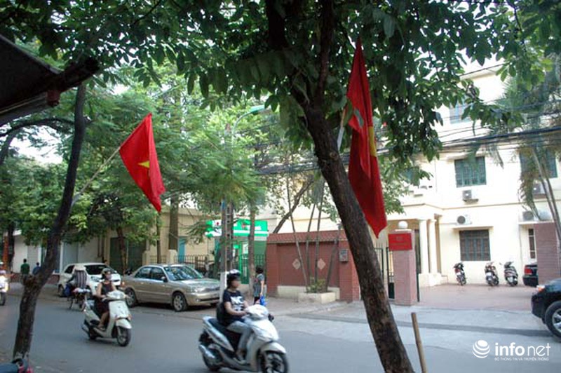 Đóng đinh “bức tử” cây xanh trên phố phường Hà Nội - ảnh 5