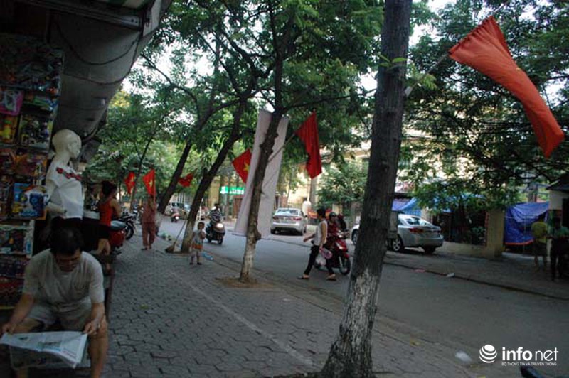 Đóng đinh “bức tử” cây xanh trên phố phường Hà Nội - ảnh 6