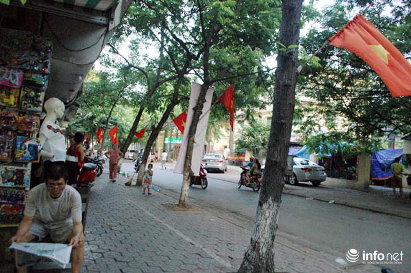 Đóng đinh “bức tử” cây xanh trên phố phường Hà Nội - ảnh 1