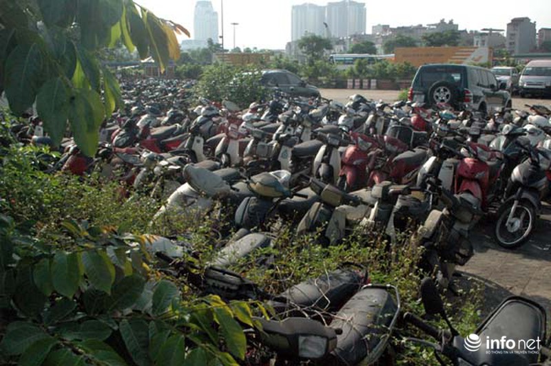 Mục sở thị