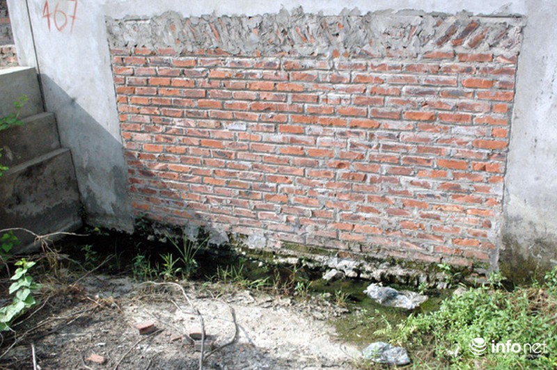 Những ngôi biệt thự siêu sang thành nơi nuôi vịt, gà giữa Thủ đô - ảnh 15